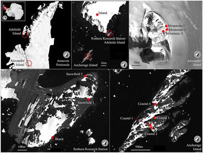 Spatial and Temporal Dynamics of Dissolved Organic Carbon, Chlorophyll, Nutrients, and Trace Metals in Maritime Antarctic Snow and Snowmelt